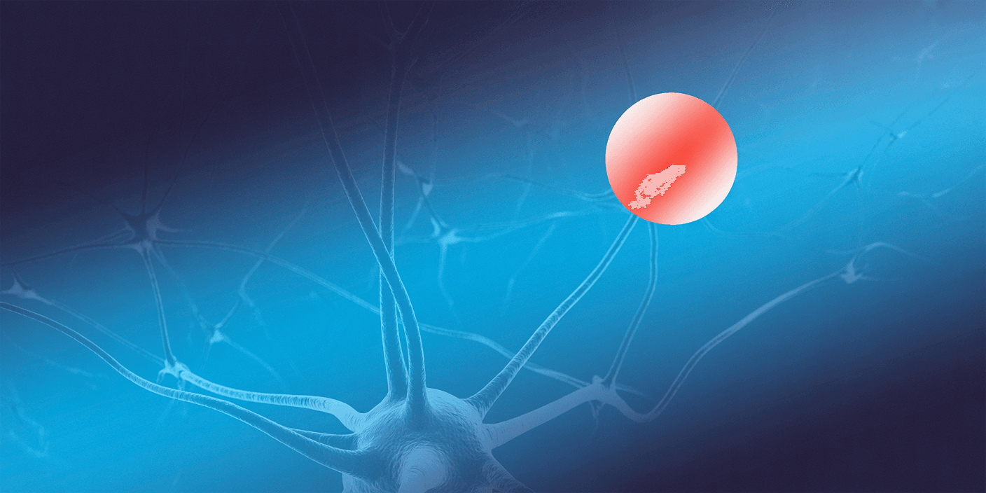 Evening Gala & Awards